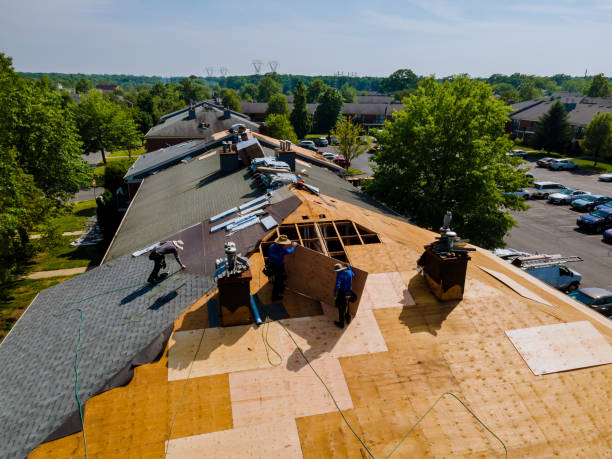 Best Roof Maintenance Services  in Woodfin, NC