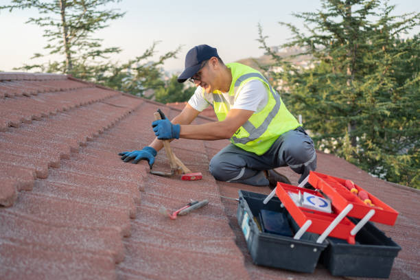 Best Roof Replacement Cost  in Woodfin, NC